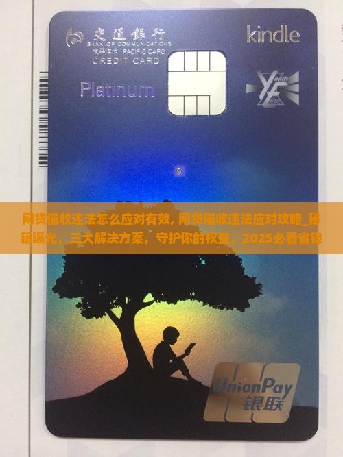 网贷催收违法怎么应对有效
