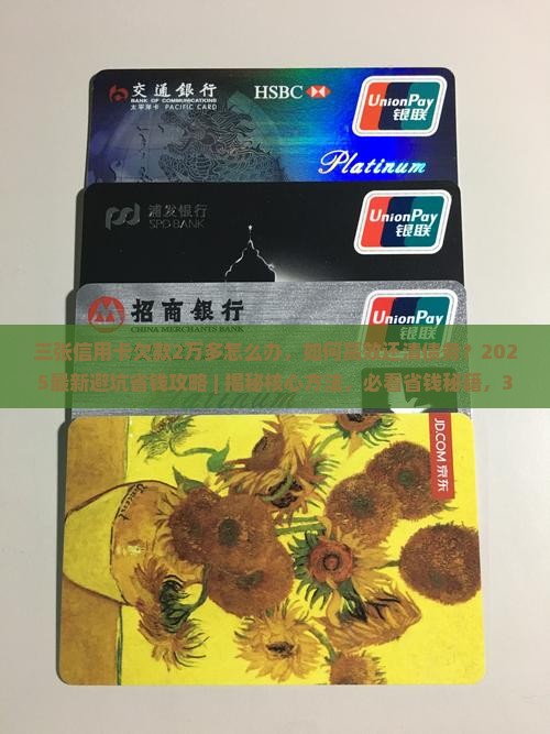 三张信用卡欠款2万多怎么办