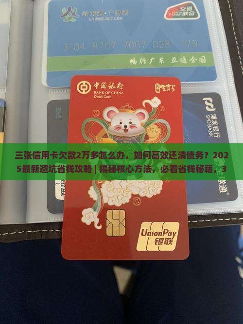 三张信用卡欠款2万多怎么办