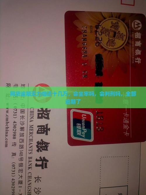网贷逾期无力偿还十几万