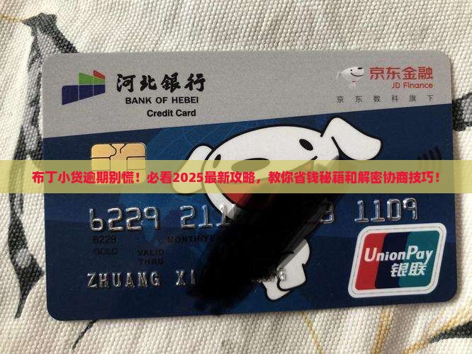 布丁小贷逾期怎么协商
