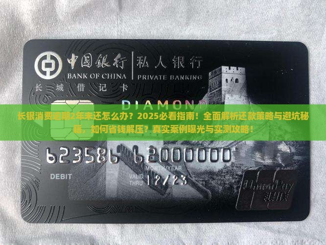 长银消费逾期2年未还