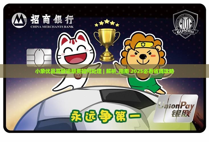 小象优品高额逾期费如何处理