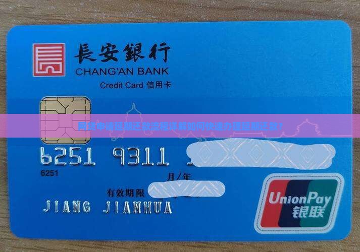 网贷申请延期还款流程详解