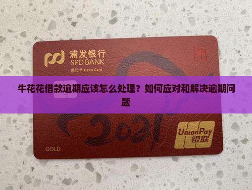 牛花花借款逾期应该怎么处理