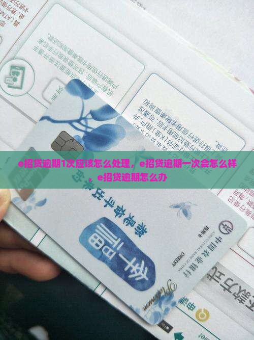 e招贷逾期1次应该怎么处理