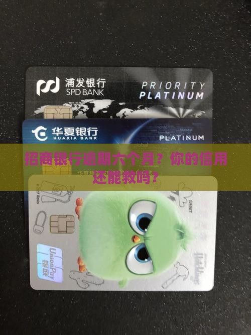 招商银行逾期六个月