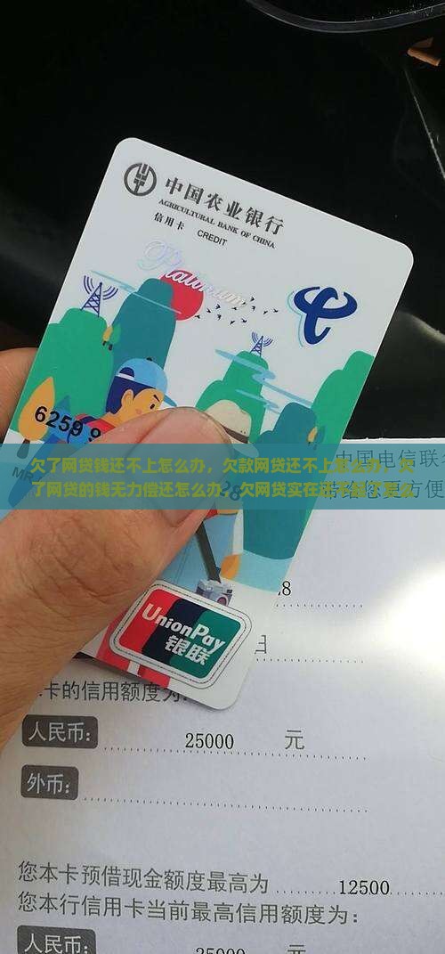欠了网贷钱还不上怎么办