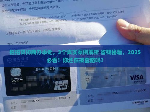 拍拍贷协商办事处