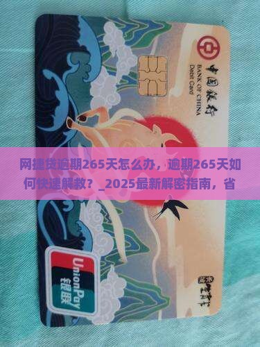 网捷贷逾期265天怎么办