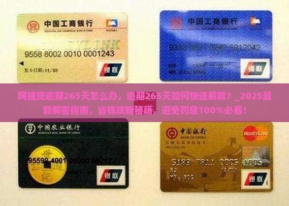 网捷贷逾期265天怎么办