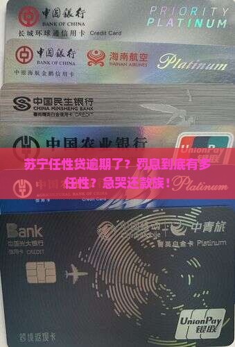 苏宁任性贷逾期怎么罚息