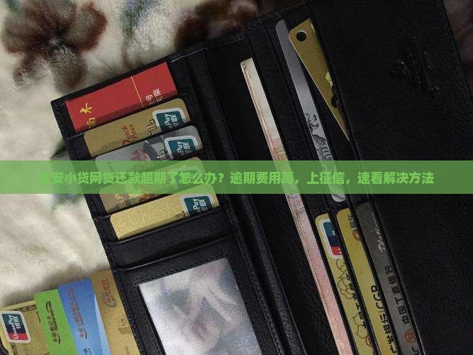 众安小贷网贷还款超期了怎么办