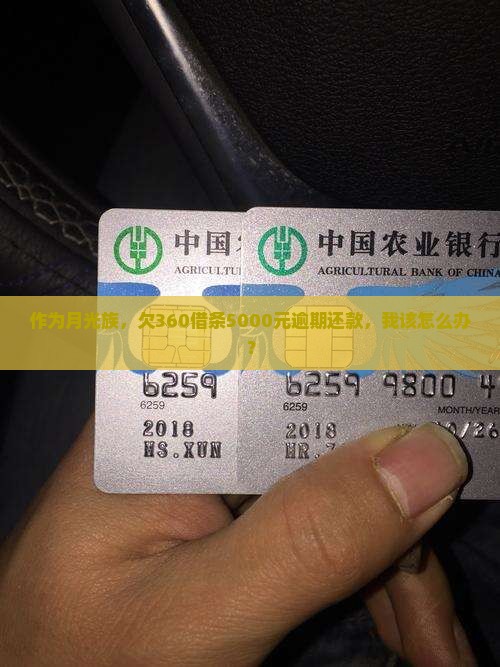 360借条还不起会有什么后果和解决办法
