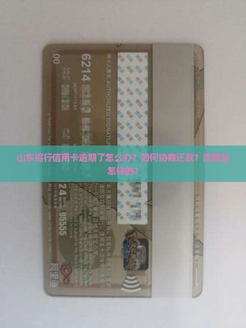 山东招行信用卡逾期协商还款流程详解