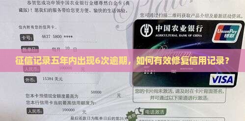 征信五年内有6次逾期怎么办