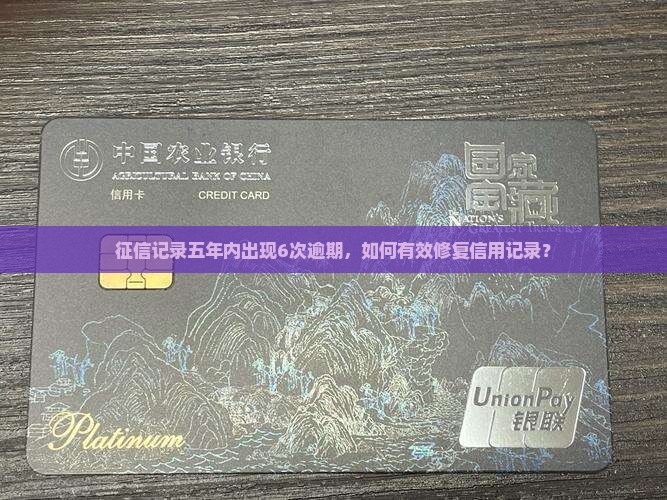 征信五年内有6次逾期怎么办
