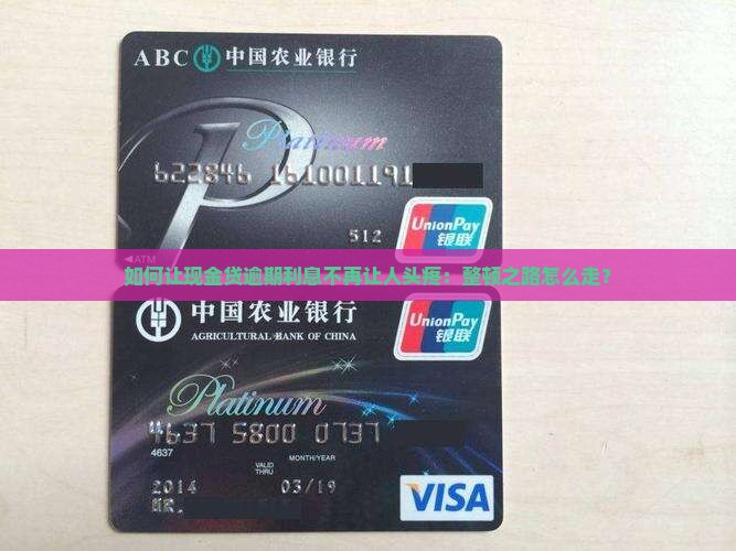 现金贷逾期利息如何整顿