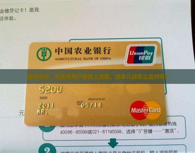 拿去花逾期半年被起诉应该怎么处理