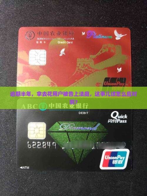 拿去花逾期半年被起诉应该怎么处理