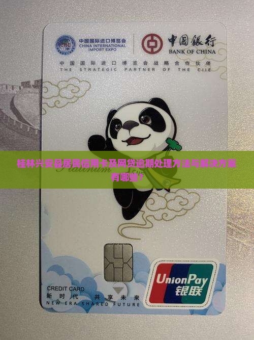 桂林市兴安县信用卡网贷逾期