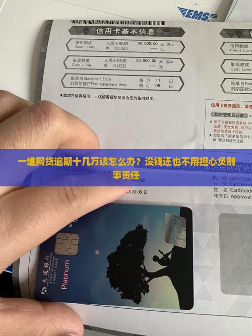 一堆网贷逾期十几万该怎么办