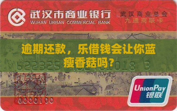 乐借钱逾期会有什么后果