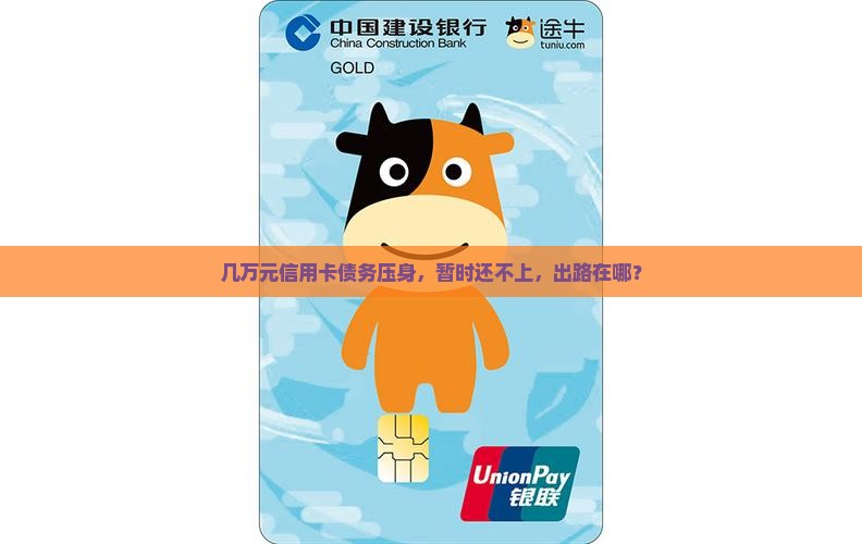 欠信用卡几万元暂时还不上该怎么办