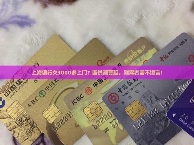 上海银行欠3000多上门