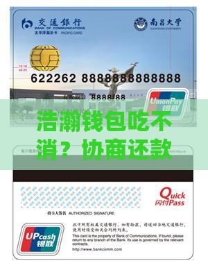 浩瀚钱包协商还款技巧