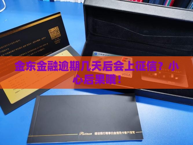 金东金融逾期几天会上征信