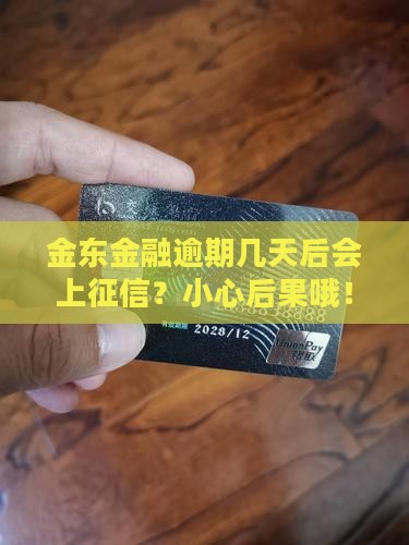 金东金融逾期几天会上征信
