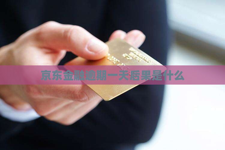 京东金融6000逾期一天会有什么后果