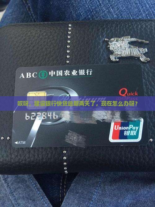 建设银行快贷逾期了两天应该怎么办