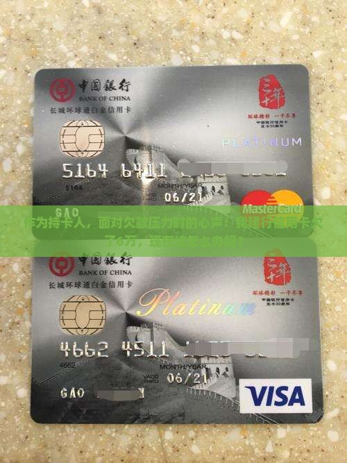 建设银行信用卡欠6万怎么处理