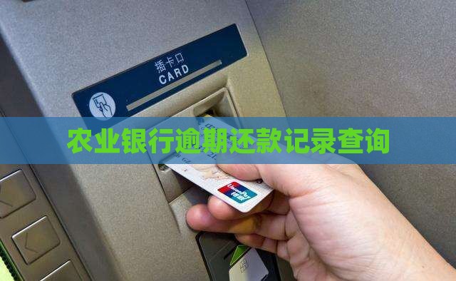 农业银行逾期还款记录查询
