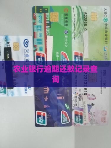 农业银行逾期还款记录查询