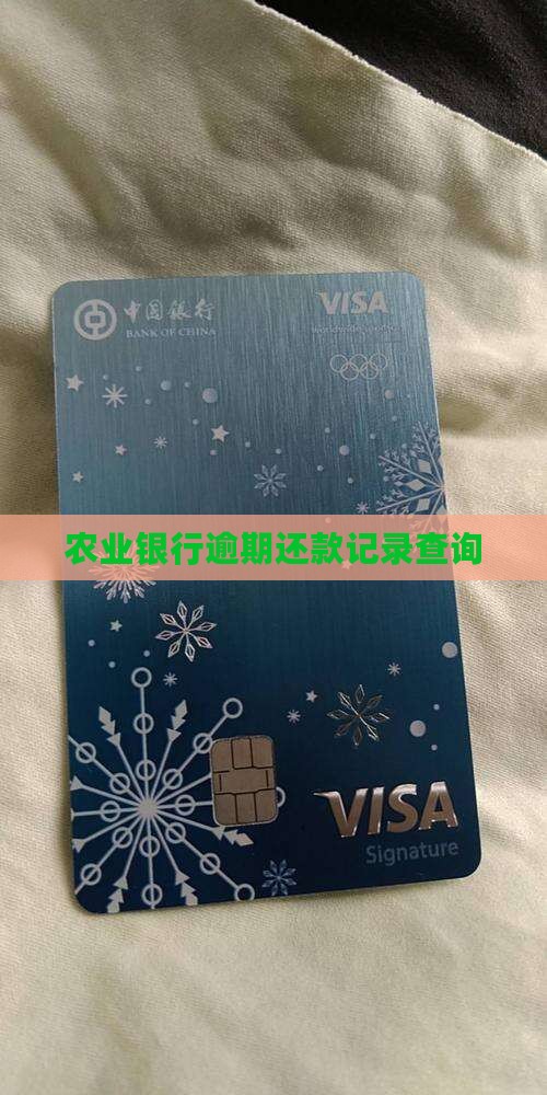 农业银行逾期还款记录查询
