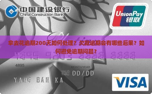 拿去花逾期200天