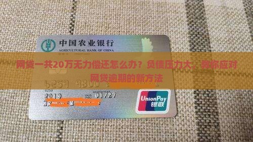 网贷一共20万无力偿还怎么办