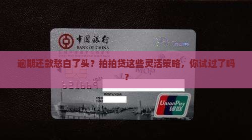 拍拍贷逾期还款方式有哪些选择