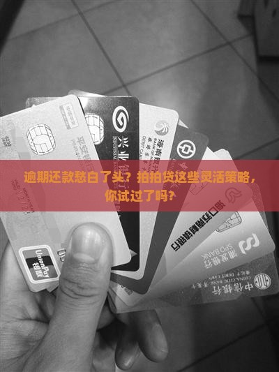拍拍贷逾期还款方式有哪些选择
