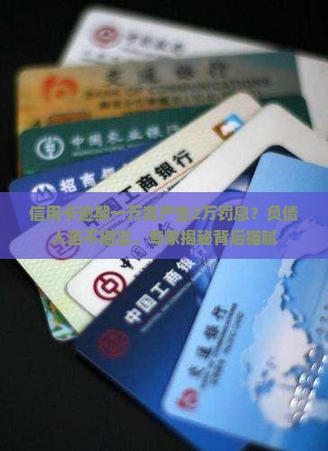 信用卡一万罚息2万