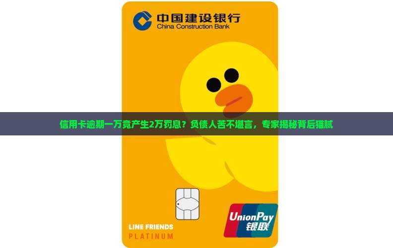 信用卡一万罚息2万