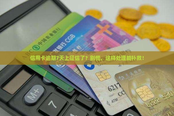 信用卡逾期七天上了征信怎么处理