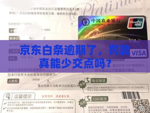 京东白条逾期罚款怎么减免