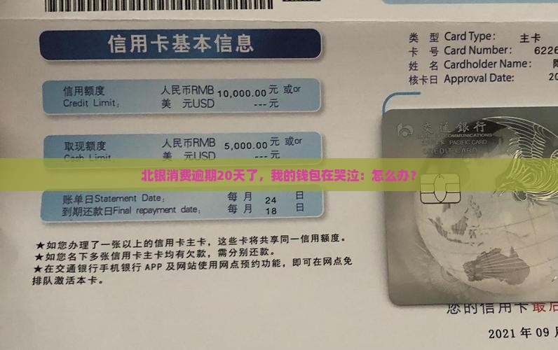 北银消费逾期20天