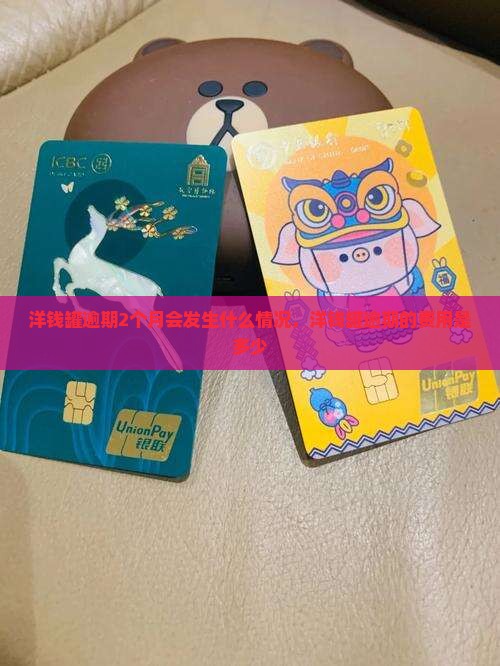 洋钱罐逾期2个月会发生什么情况