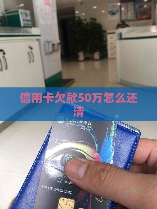 各种信用卡欠款50万如何还清