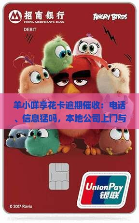羊小咩享花卡逾期催收
